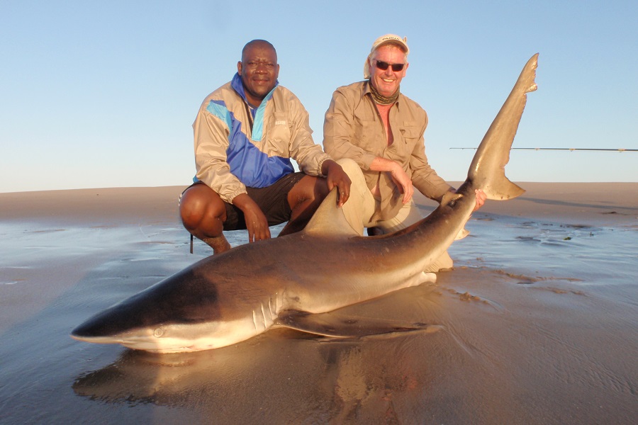 shark fishing namibia